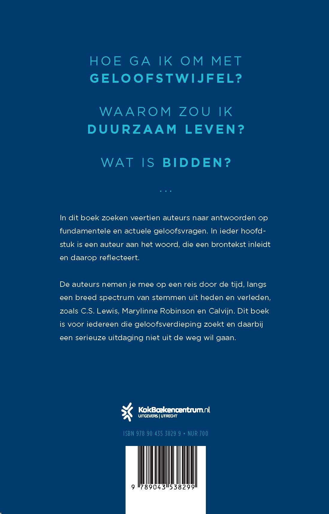 Klimijzers - Afbeelding 2