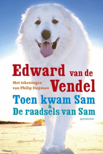 Toen kwam Sam & De raadsels van Sam