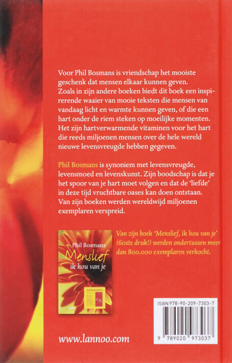 Zonnestralen van vriendschap - Afbeelding 2