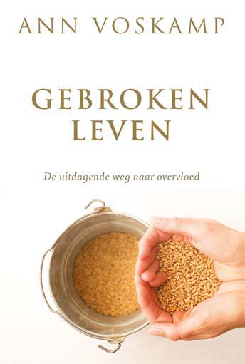 Gebroken leven
