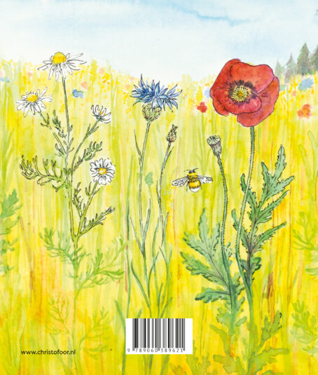 Zomer - Afbeelding 2