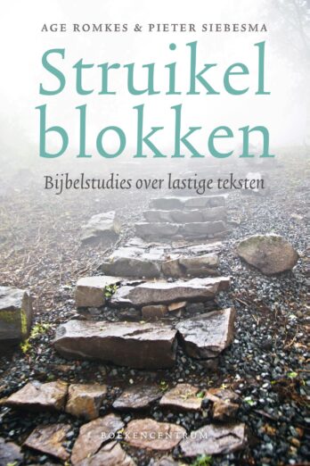 Struikelblokken