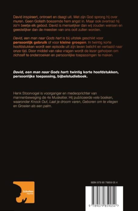 David een man naar Gods hart - Afbeelding 2