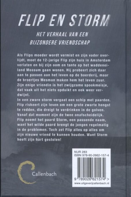 Storm - Afbeelding 2