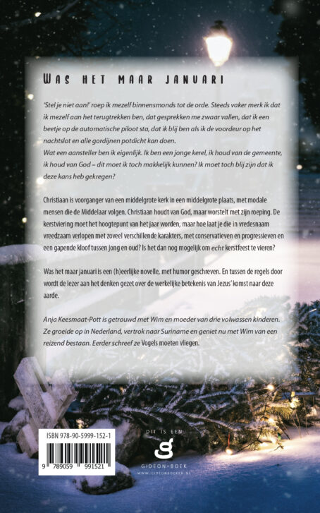 Was het maar januari - Afbeelding 2