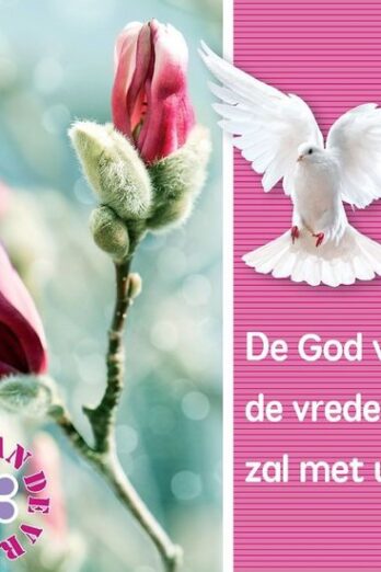 Standaard 10x10cm God van de vrede