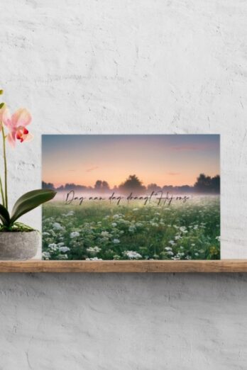 Plexiglas dag aan dag