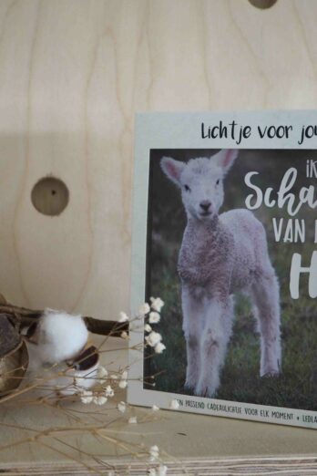 Lichtje voor jou: Ik ben een schaapje van de Heer