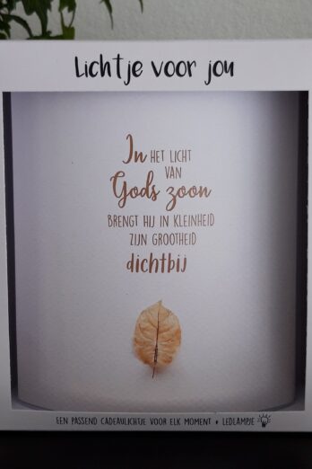 Lichtje voor jou: In het licht van Gods zoon