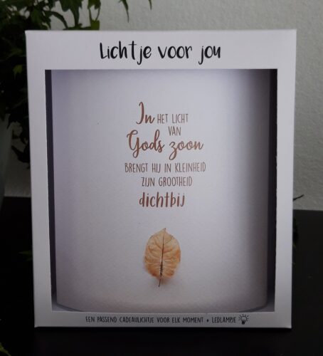 Lichtje voor jou: In het licht van Gods zoon