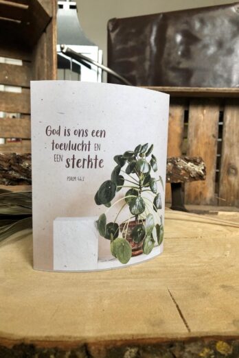 Lichtje voor jou: God is ons een toevlucht en een sterkte