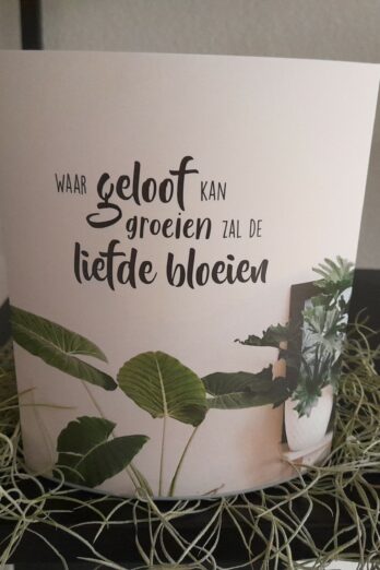 Lichtje voor jou: Waar geloof kan groeien