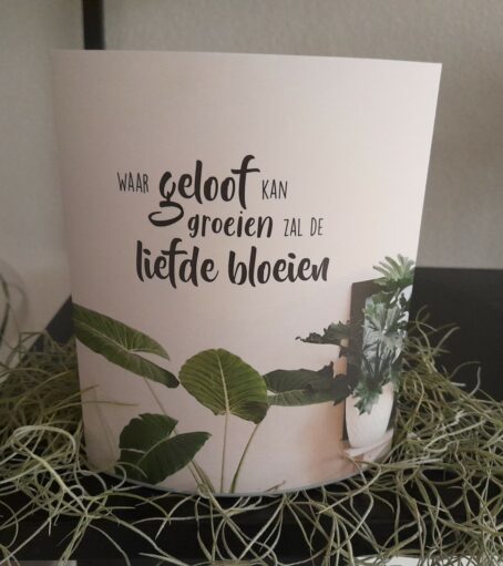 Lichtje voor jou: Waar geloof kan groeien
