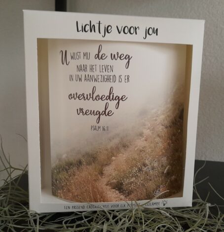 U wijst mij de weg naar het leven