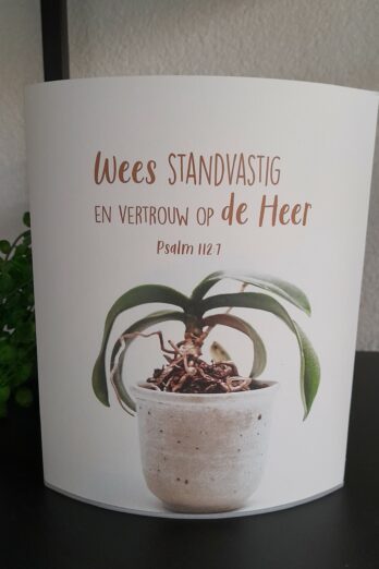 Lichtje voor jou: Wees standvastig en vertrouw op de Heer