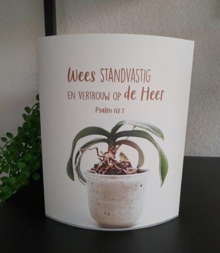 Lichtje voor jou: Wees standvastig en vertrouw op de Heer