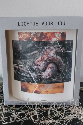 Seizoenen>Kerst|Home & Living>Lichtje voor jou Lichtje voor jou: Eekhoorn