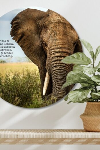 Muurcirkel olifant de Heer zal je leiden