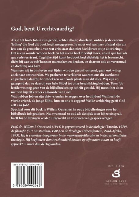God, bent U rechtvaardig? - Afbeelding 2