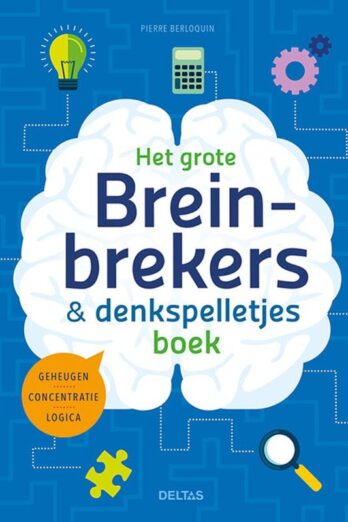 Het grote breinbrekers en denkspelletjes boek