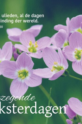 Schilderij Square Dag aan dag