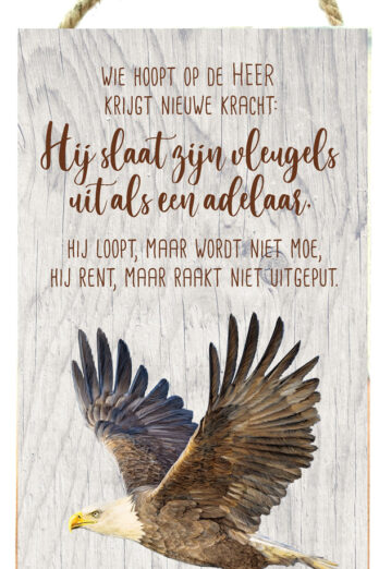 Wie hoopt op de Heer-adelaar Jes 40:31